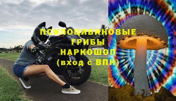 прущий лед Алексин