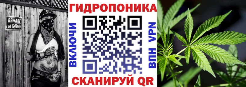 Каннабис сатива  Волгоград 